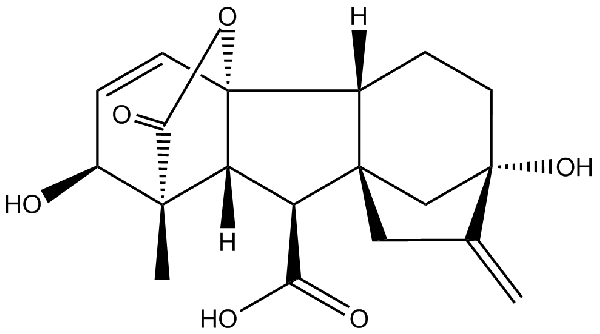 赤霉素GIBBERELLIC ACID，居然有這么神奇？